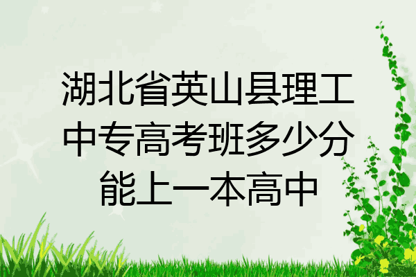 湖北省英山县理工中专高考班多少分能上一本高中
