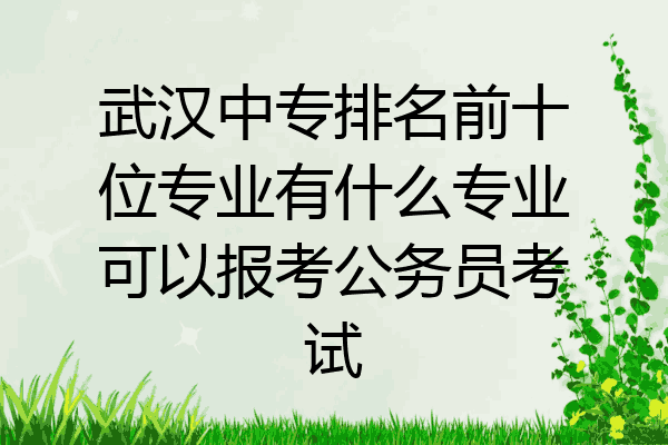武汉中专排名前十位专业有什么专业可以报考公务员考试
