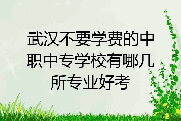 武汉不要学费的中职中专学校有哪几所专业好考