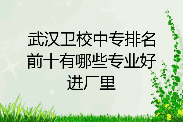 武汉卫校中专排名前十有哪些专业好进厂里