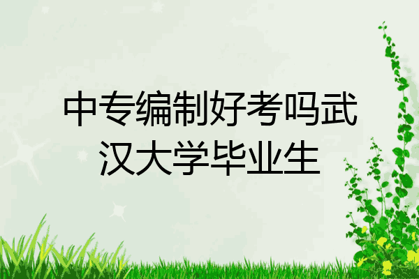 中专编制好考吗武汉大学毕业生