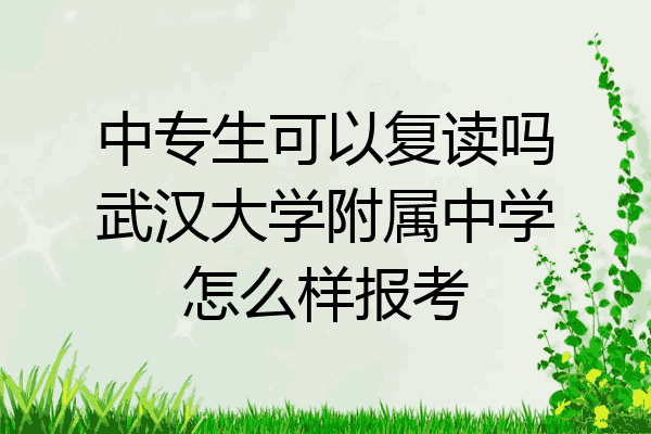 中专生可以复读吗武汉大学附属中学怎么样报考
