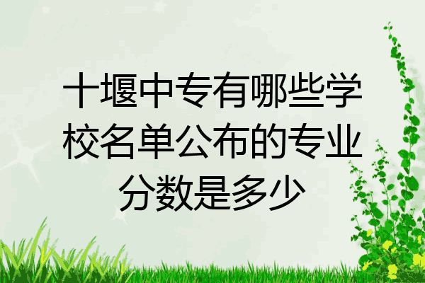 十堰中专有哪些学校名单公布的专业分数是多少