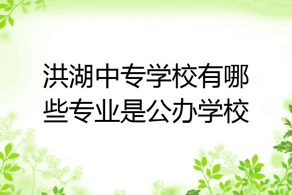 洪湖中专学校有哪些专业是公办学校