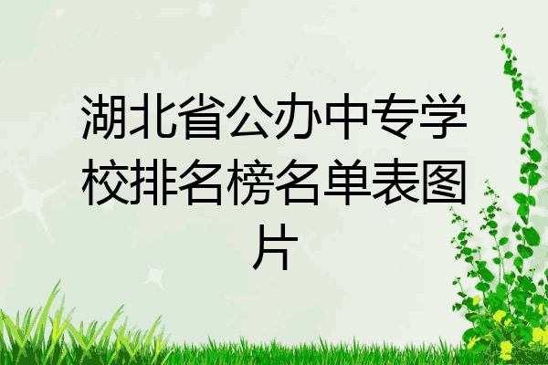 湖北省公办中专学校排名榜名单表图片