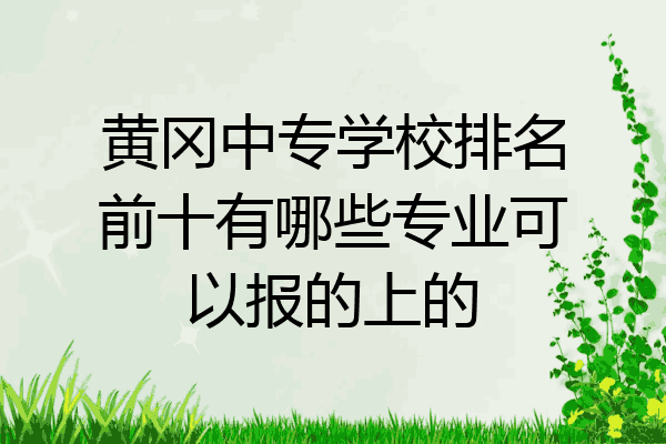 黄冈中专学校排名前十有哪些专业可以报的上的