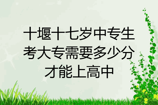 十堰十七岁中专生考大专需要多少分才能上高中