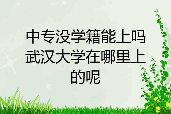 中专没学籍能上吗武汉大学在哪里上的呢