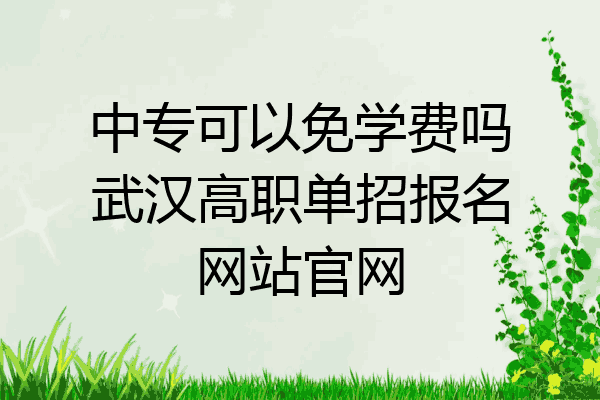 中专可以免学费吗武汉高职单招报名网站官网
