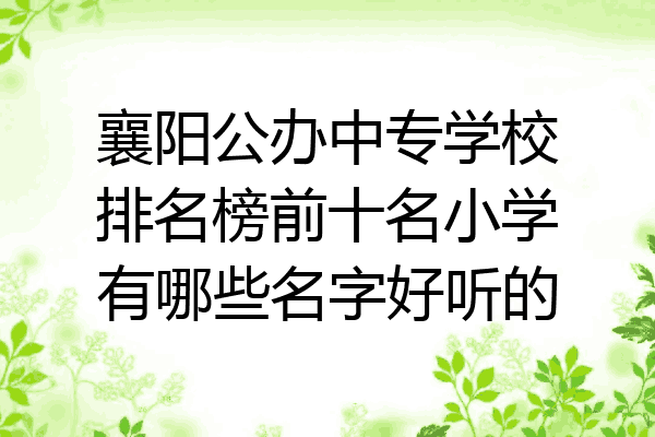 襄阳公办中专学校排名榜前十名小学有哪些名字好听的