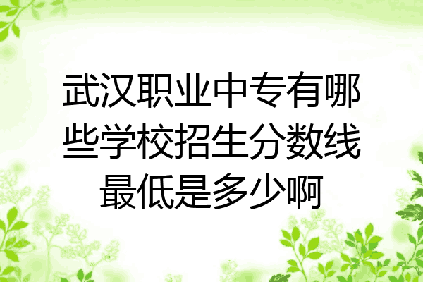 武汉职业中专有哪些学校招生分数线最低是多少啊