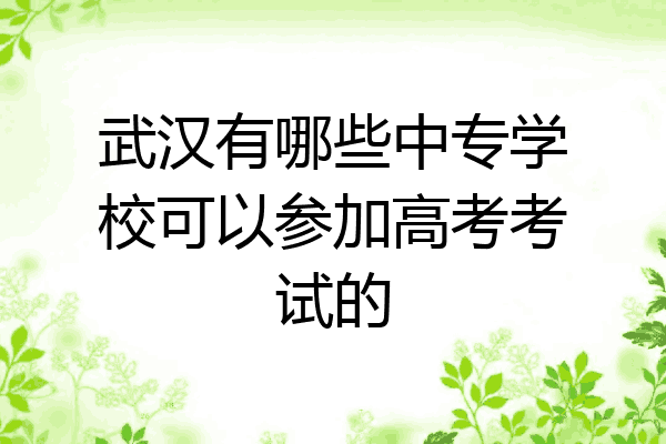 武汉有哪些中专学校可以参加高考考试的