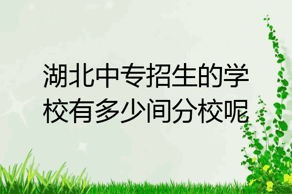 湖北中专招生的学校有多少间分校呢