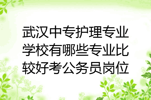 武汉中专护理专业学校有哪些专业比较好考公务员岗位
