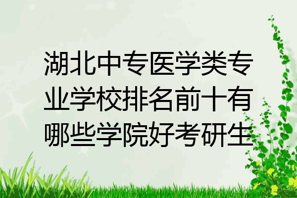 湖北中专医学类专业学校排名前十有哪些学院好考研生