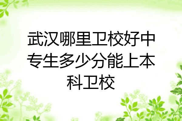 武汉哪里卫校好中专生多少分能上本科卫校