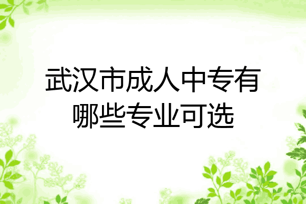 武汉市成人中专有哪些专业可选