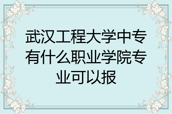 武汉工程大学中专有什么职业学院专业可以报
