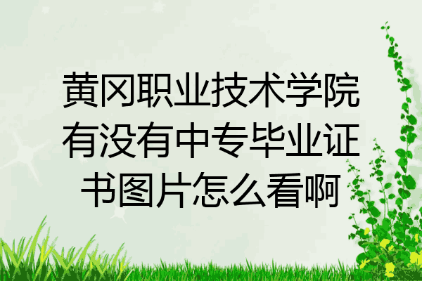 黄冈职业技术学院有没有中专毕业证书图片怎么看啊