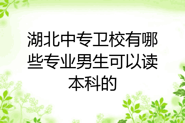 湖北中专卫校有哪些专业男生可以读本科的