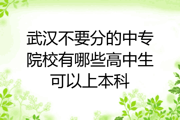 武汉不要分的中专院校有哪些高中生可以上本科