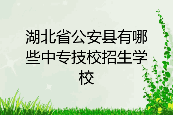湖北省公安县有哪些中专技校招生学校