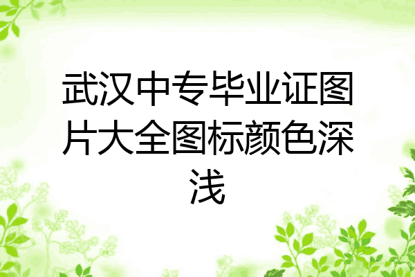 武汉中专毕业证图片大全图标颜色深浅