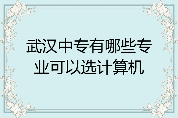 武汉中专有哪些专业可以选计算机