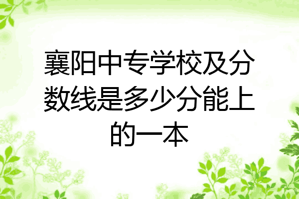 襄阳中专学校及分数线是多少分能上的一本