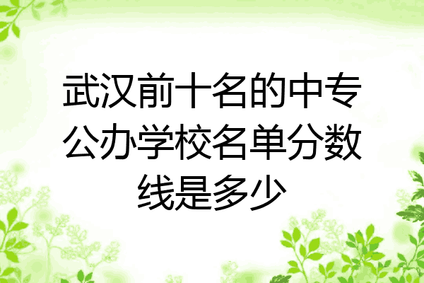 武汉前十名的中专公办学校名单分数线是多少