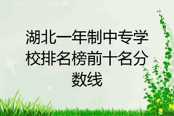 湖北一年制中专学校排名榜前十名分数线
