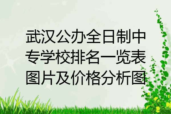 武汉公办全日制中专学校排名一览表图片及价格分析图