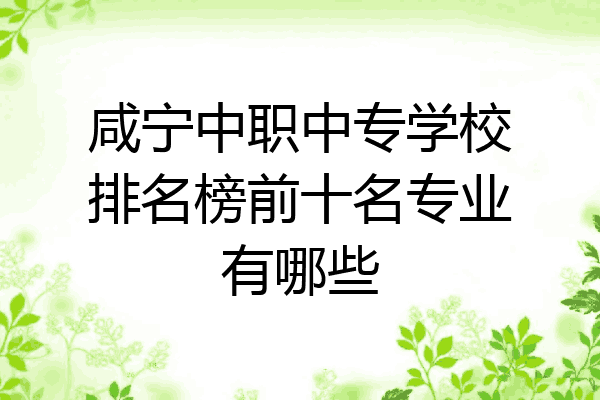 咸宁中职中专学校排名榜前十名专业有哪些