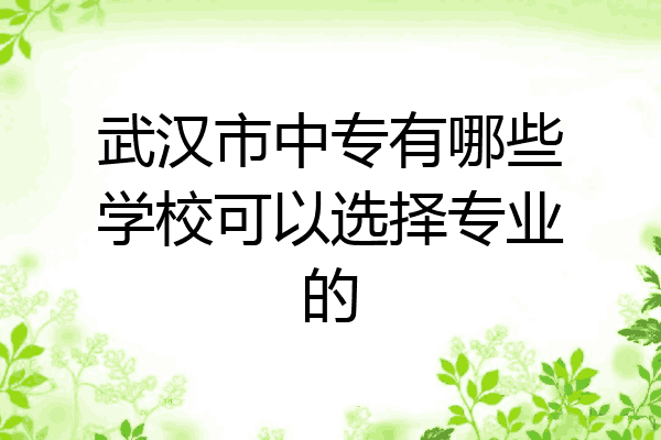 武汉市中专有哪些学校可以选择专业的