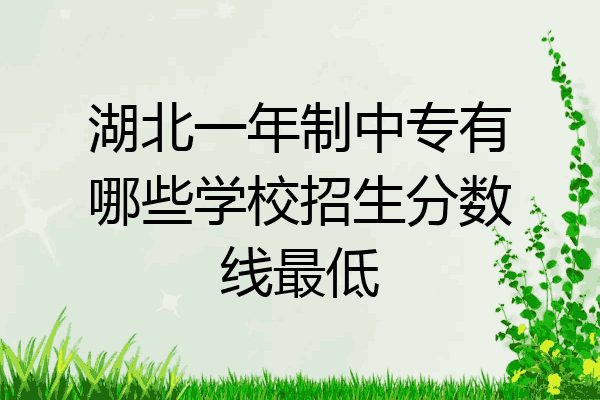 湖北一年制中专有哪些学校招生分数线最低
