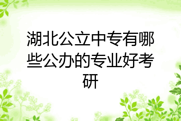 湖北公立中专有哪些公办的专业好考研