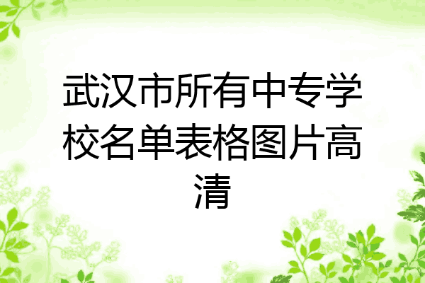 武汉市所有中专学校名单表格图片高清