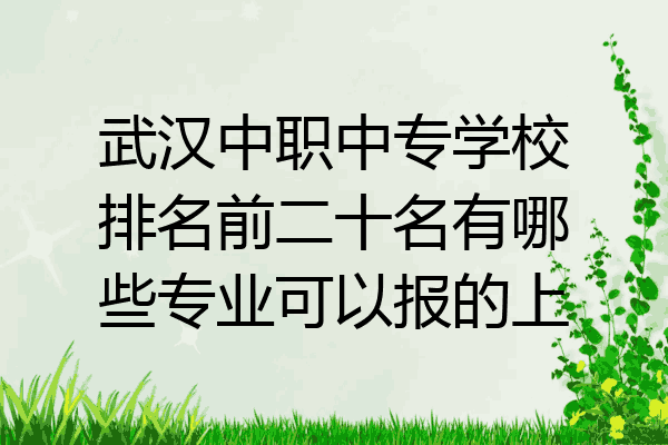 武汉中职中专学校排名前二十名有哪些专业可以报的上