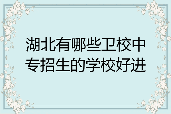 湖北有哪些卫校中专招生的学校好进