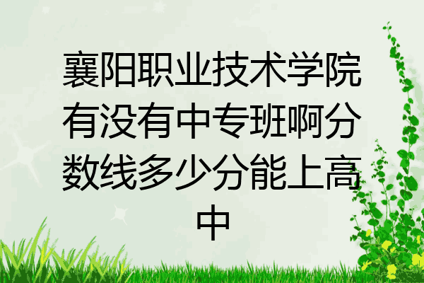 襄阳职业技术学院有没有中专班啊分数线多少分能上高中