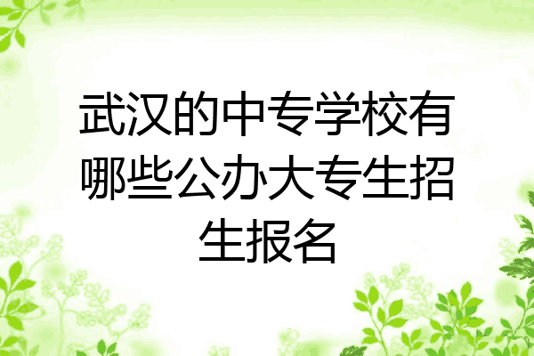 武汉的中专学校有哪些公办大专生招生报名