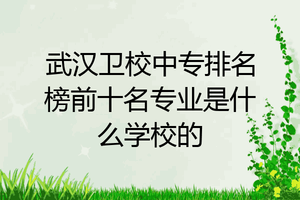 武汉卫校中专排名榜前十名专业是什么学校的