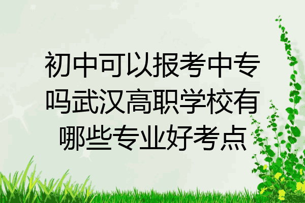 初中可以报考中专吗武汉高职学校有哪些专业好考点