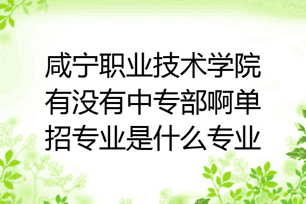 咸宁职业技术学院有没有中专部啊单招专业是什么专业