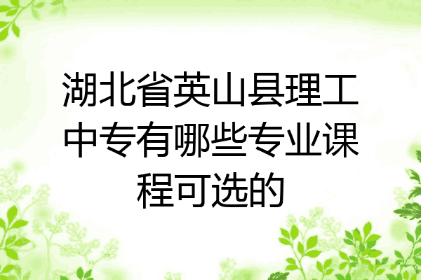 湖北省英山县理工中专有哪些专业课程可选的