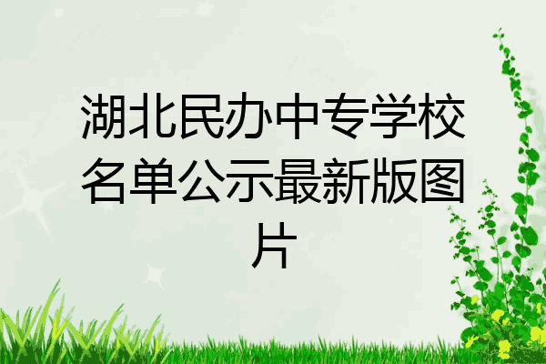 湖北民办中专学校名单公示最新版图片