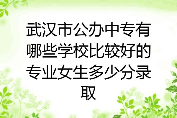 武汉市公办中专有哪些学校比较好的专业女生多少分录取