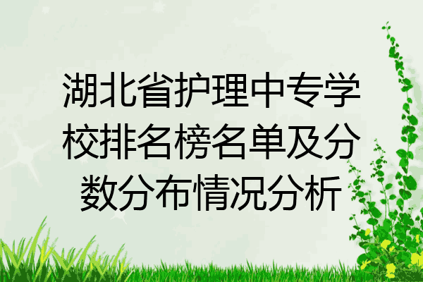 湖北省护理中专学校排名榜名单及分数分布情况分析