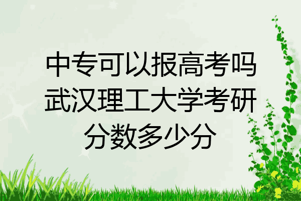 中专可以报高考吗武汉理工大学考研分数多少分