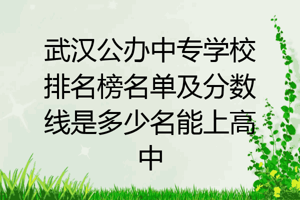 武汉公办中专学校排名榜名单及分数线是多少名能上高中